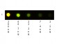 Human IgG F(c) Texas Red™ 
